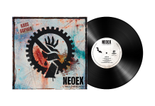 Per la prima volta in vinile “L’anello mancante”, unico album dei Neo Ex